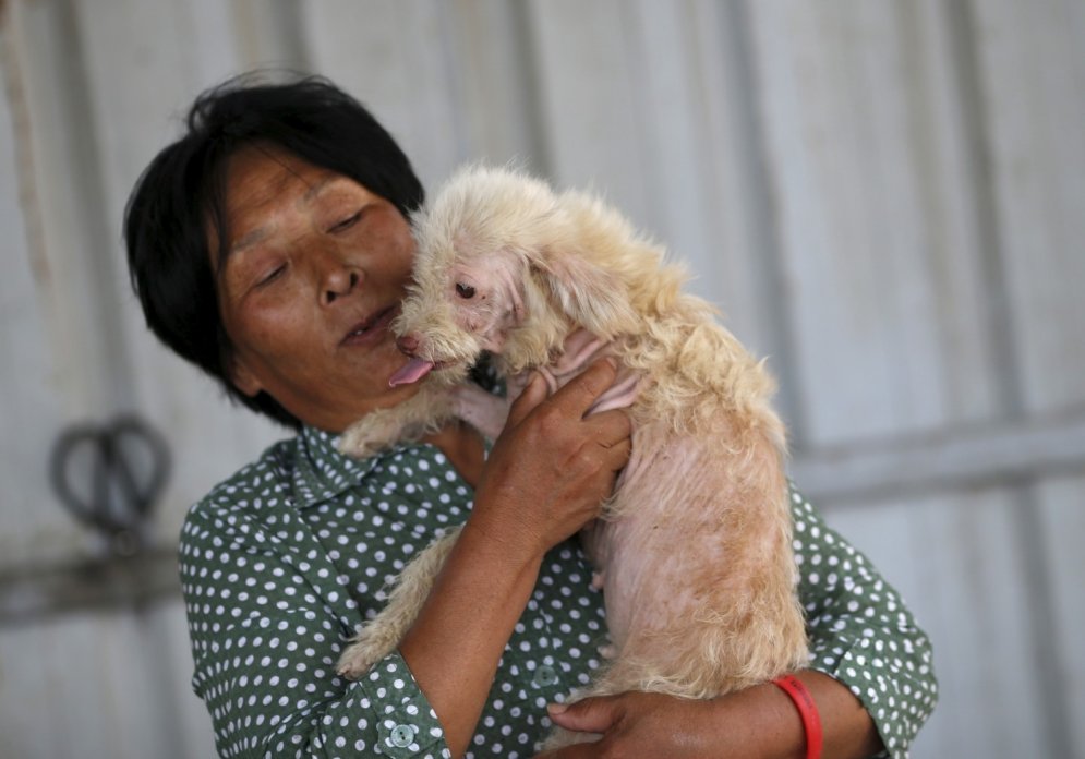 Kā 65 gadus veca sieviete no apēšanas izglāba 500 suņus