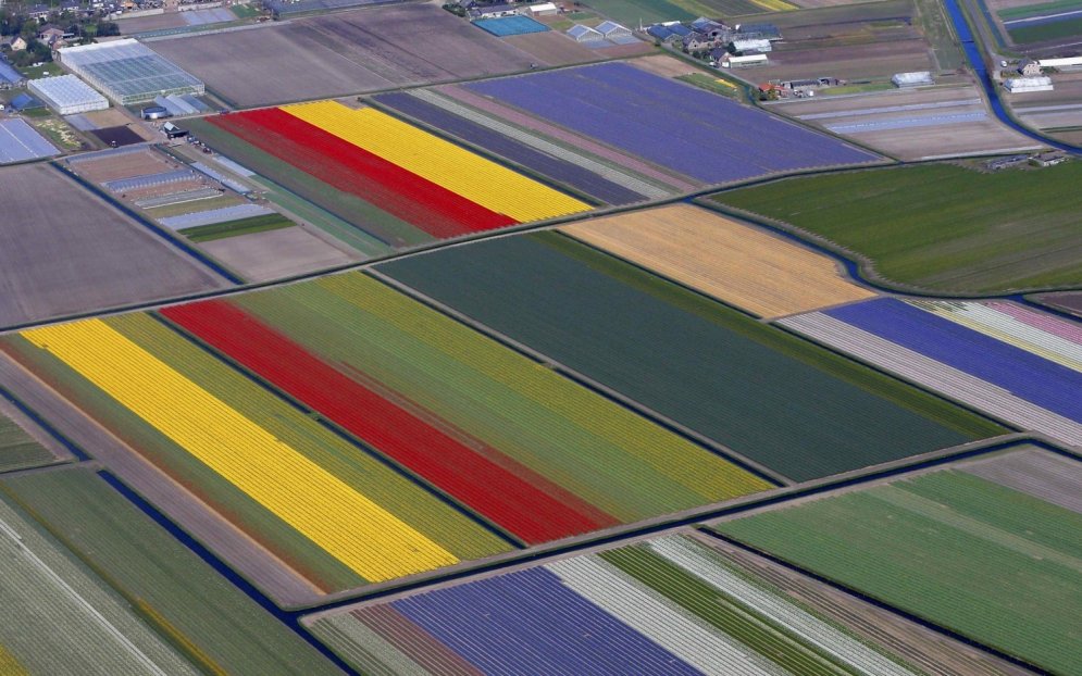 Kā pasaulē lielākais puķu dārzs izskatās no putna lidojuma