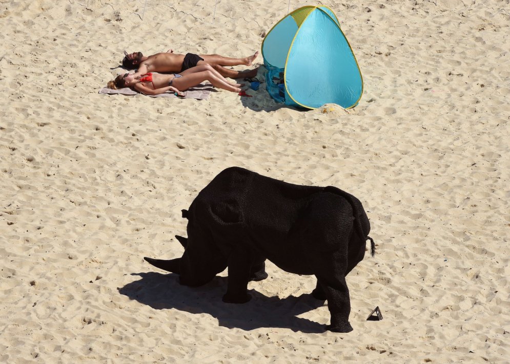 Песок, сковородки и носороги: как современное искусство пришло на пляж
