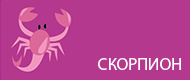 Скорпион