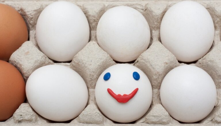 Baltās vai brūnās olas – kāda atšķirība? Septiņas atbildes uz āķīgiem jautājumiem