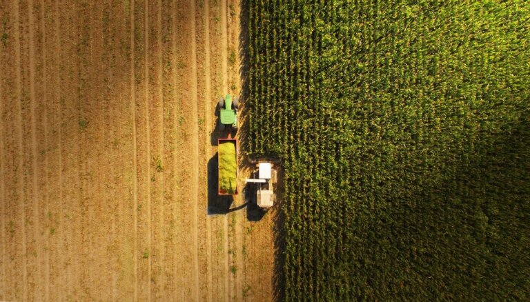 Lauksaimniecības politikas anatomija: bezzobaina attiecībā uz vidi, ar lielu apetīti uz industrializāciju