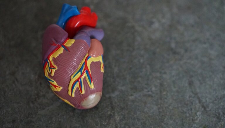 Slimnīcās organizē bezmaksas pasākumus sirds un asinsvadu slimību risku atpazīšanai