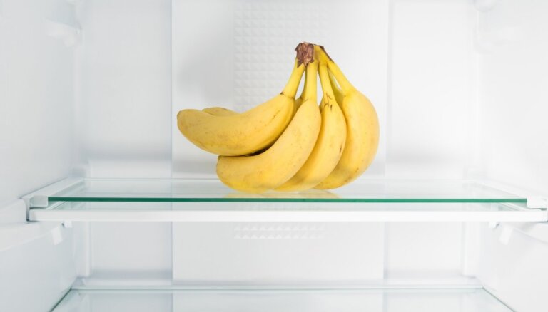 Banāni ledusskapī kā turības simbols? Kādas ir prioritātes sociālās palīdzības sniegšanā