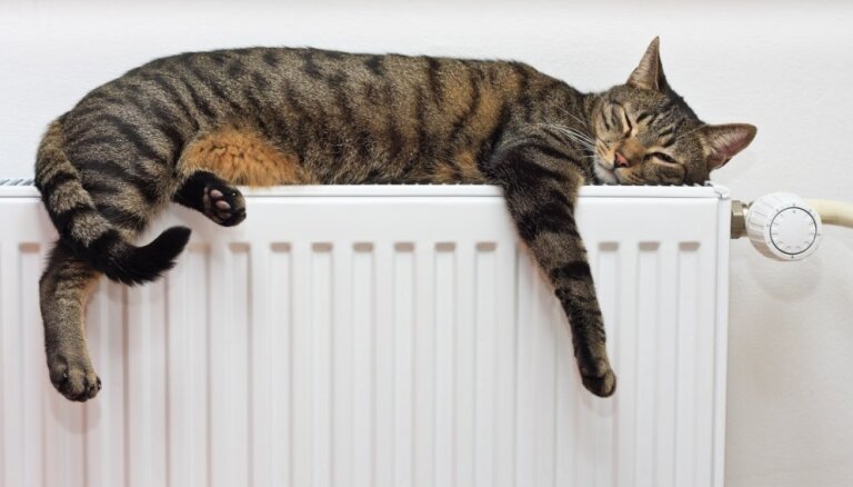Рижан проинформируют, как снизить расходы на отопление в многоквартирных домах
