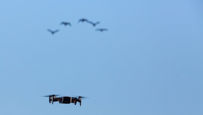 Nepārdomāta dronu izmantošana dabā var kaitēt dzīvniekiem un putniem