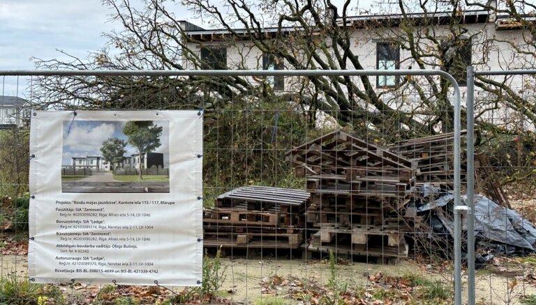 Par dižozola nociršanu pērn Mārupē šī gada martā aizturēts cilvēks