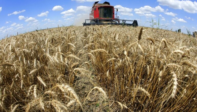 Коалиционные депутаты: исключения в санкциях против России для обеспечения экспорта зерна — допустимы