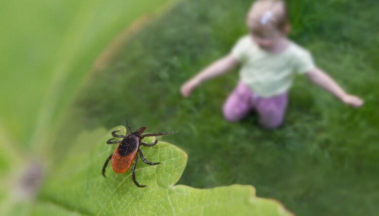 Saķert ērces piemājas dārzā? Kā tās tur nonāk, un kā visefektīvāk ierobežot