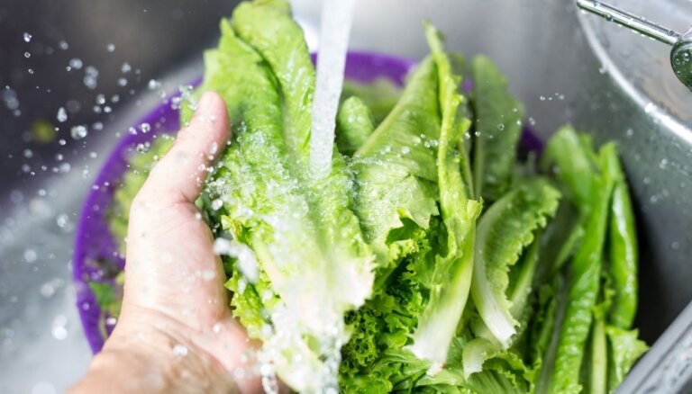 9 pārtikas produkti, kuru mazgāšana daudziem kļūdaini šķiet lieka