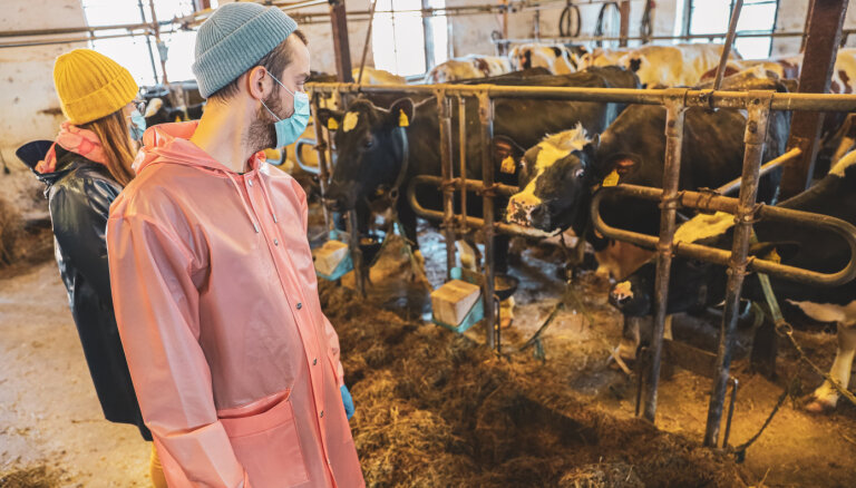 Video: Eiropas trubadūri Alūksnē ielūkojas mobilās veterinārārsta prakses ikdienā